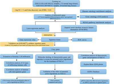 Machine learning and bioinformatics-based insights into the potential targets of saponins in Paris polyphylla smith against non-small cell lung cancer